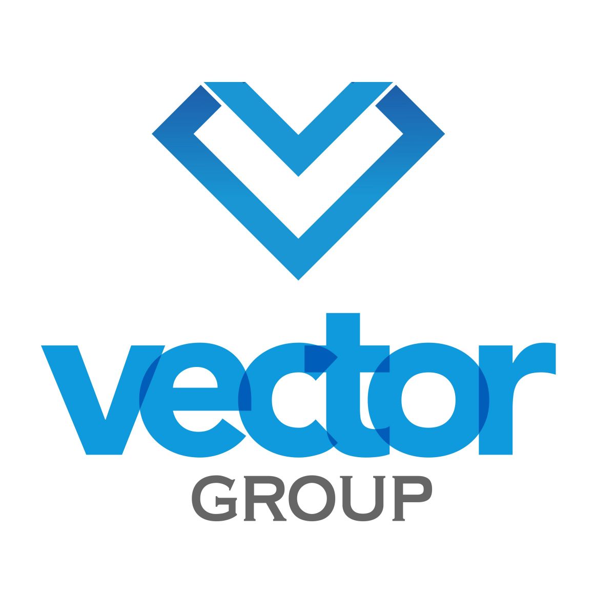 Vector grup